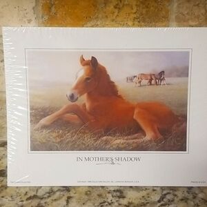 In Mother's Shadow horse prints Bulk Lot